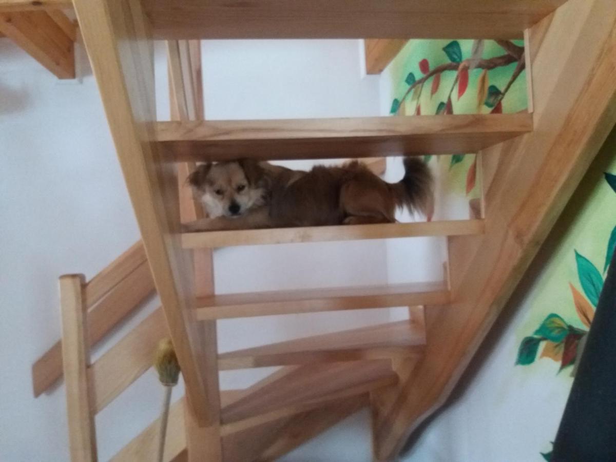 Domek Jaska Baligród Εξωτερικό φωτογραφία